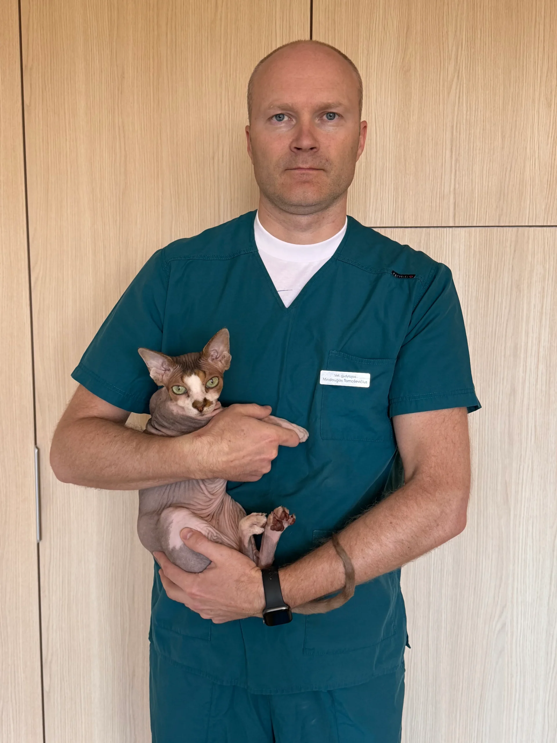 Mamba Vet klinikos veterinaras Mindaugas Tamoševičius apžiūros metu