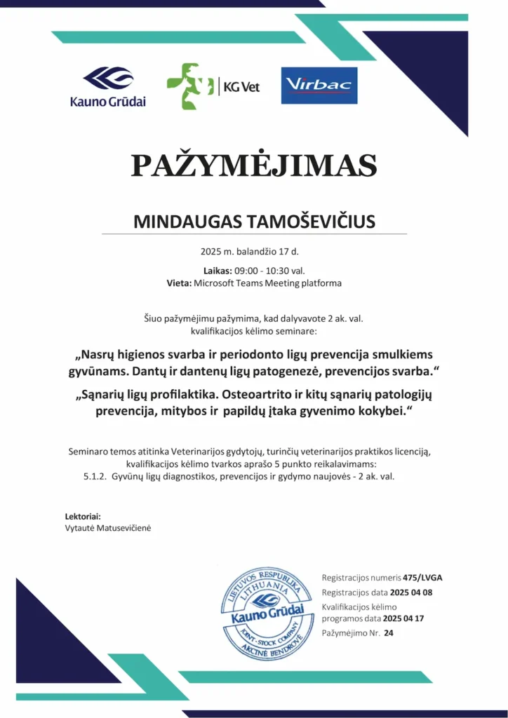 Gydytojo Mindaugo Tamoševičiaus kvalifikacijos sertifikatas