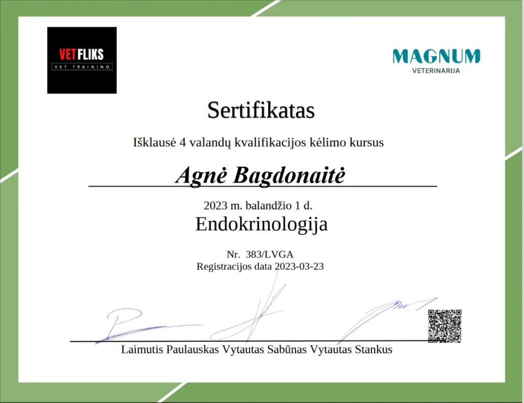 Agnės Bagdonaitės sertifikatas