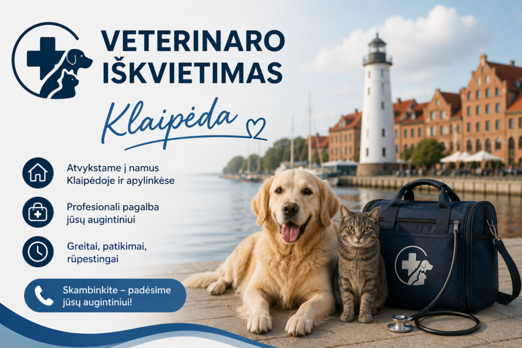 Veterinaro iškvietimas į namus, budintis veterinaras Klaipėdoje